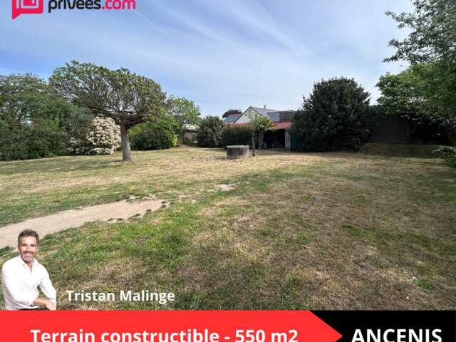 Terrain constructible 550m2 - Ancenis - Au calme en second rideau — photo du bien