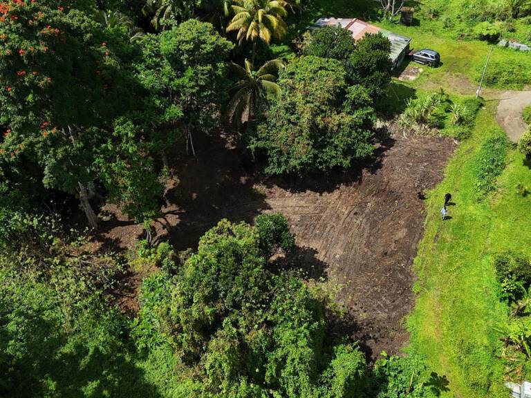 Terrain plat de 2175m² à Fort-de-France, à la campagne, idéal pour projet de construction ou investissement locatif — photo 1