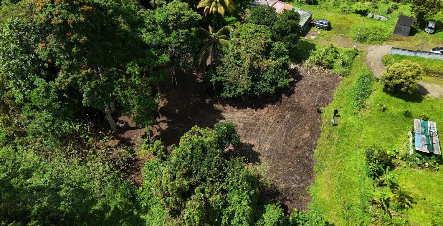 Terrain plat de 2175m² à Fort-de-France, à la campagne, idéal pour projet de construction ou investissement locatif — photo 1