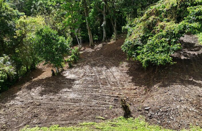 Terrain plat de 2175m² à Fort-de-France, à la campagne, idéal pour projet de construction ou investissement locatif — photo 2