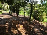 Terrain plat de 2175m² à Fort-de-France, à la campagne, idéal pour projet de construction ou investissement locatif — photo 3