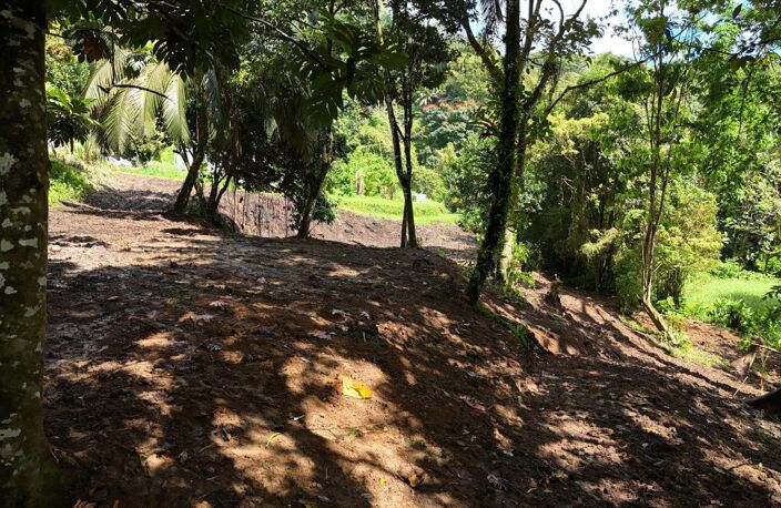 Terrain plat de 2175m² à Fort-de-France, à la campagne, idéal pour projet de construction ou investissement locatif — photo 3