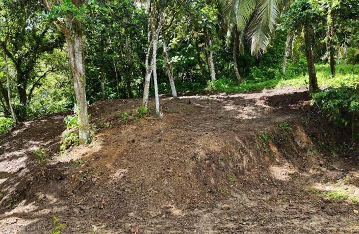 Terrain plat de 2175m² à Fort-de-France, à la campagne, idéal pour projet de construction ou investissement locatif — photo 4
