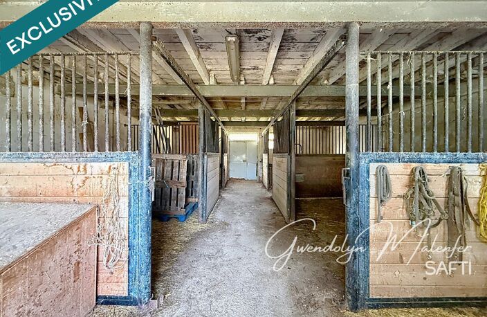 ANCIENNE FERME À RÉHABILITER  PLUS DE 6 000 M² DE TERRAIN  IDÉAL CHEVAUX — photo 3