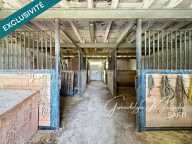 ANCIENNE FERME À RÉHABILITER  PLUS DE 6 000 M² DE TERRAIN  IDÉAL CHEVAUX — photo 3