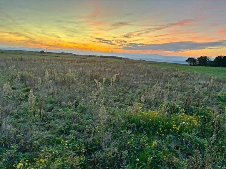 TERRAIN DE 14 820 M²  CALME, PLAT ET BIEN EXPOSÉ — photo 1