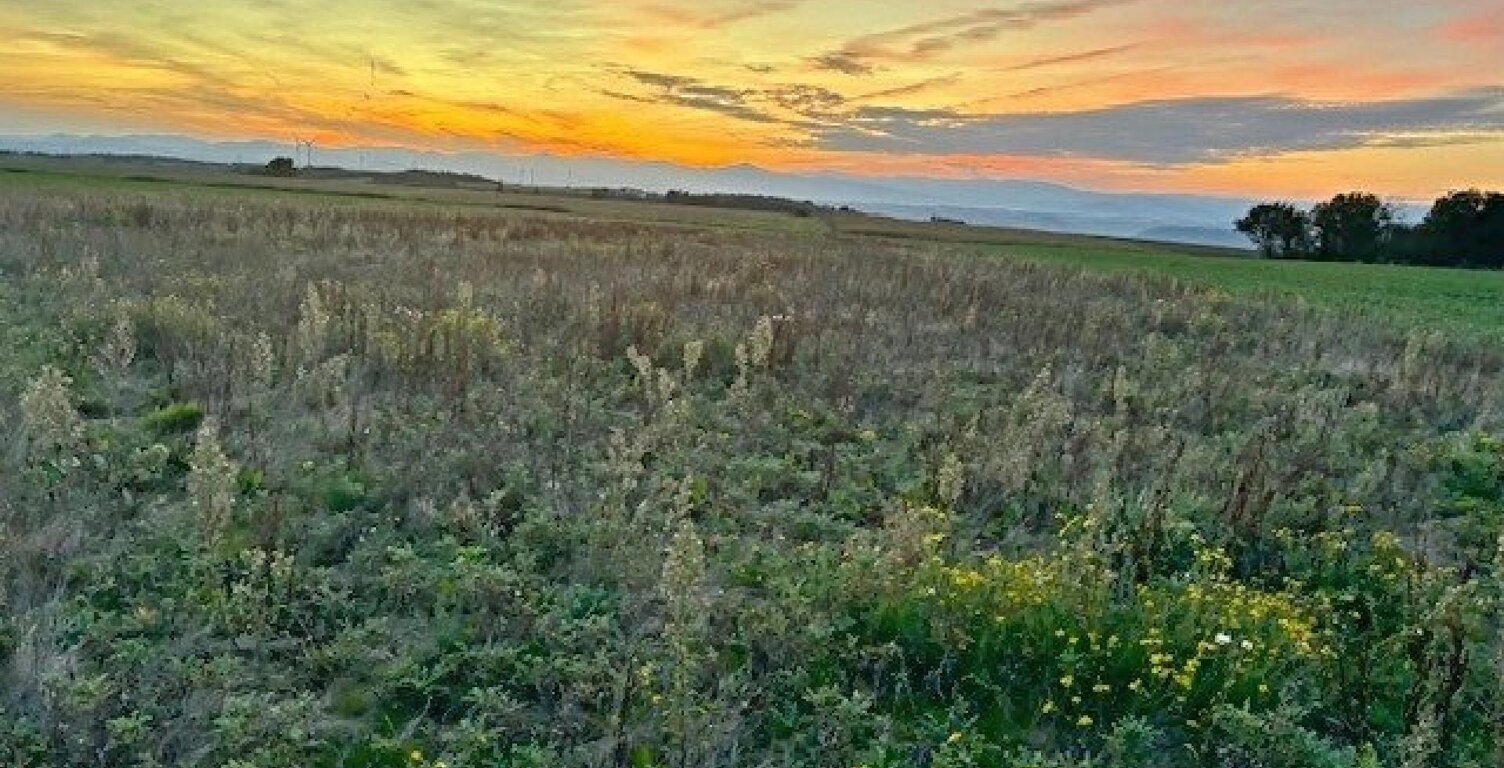 TERRAIN DE 14 820 M²  CALME, PLAT ET BIEN EXPOSÉ — photo 1
