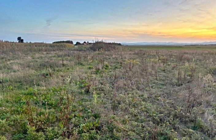 TERRAIN DE 14 820 M²  CALME, PLAT ET BIEN EXPOSÉ — photo 2