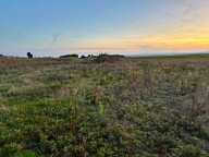 TERRAIN DE 14 820 M²  CALME, PLAT ET BIEN EXPOSÉ — photo 4