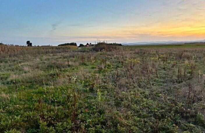 TERRAIN DE 14 820 M²  CALME, PLAT ET BIEN EXPOSÉ — photo 4
