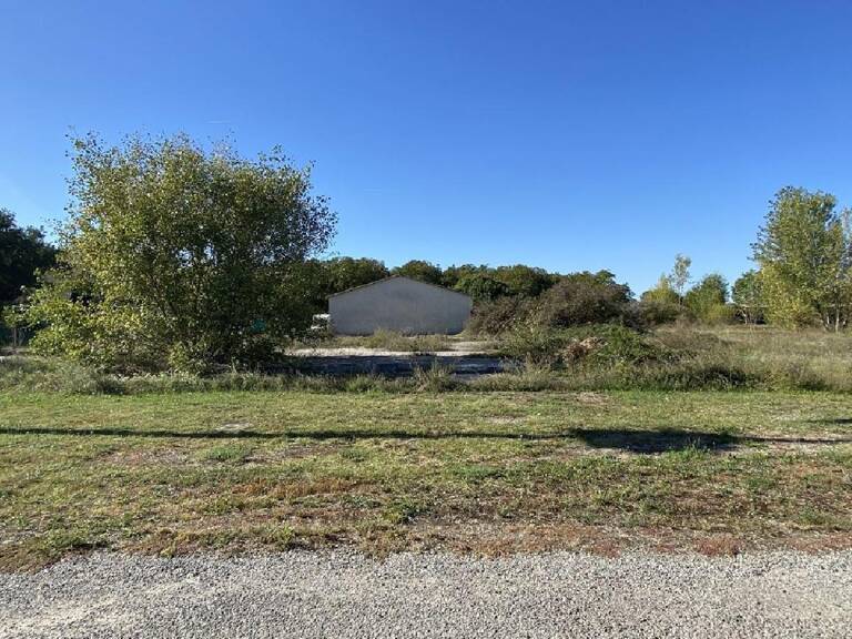 Terrain — photo 1