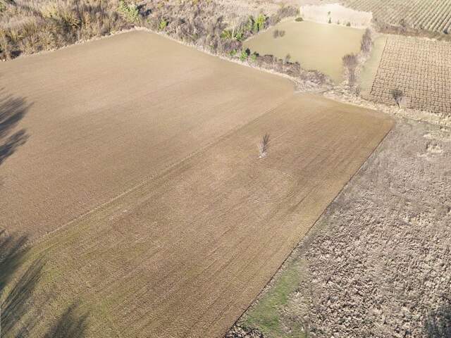 Terrain agricole — photo du bien
