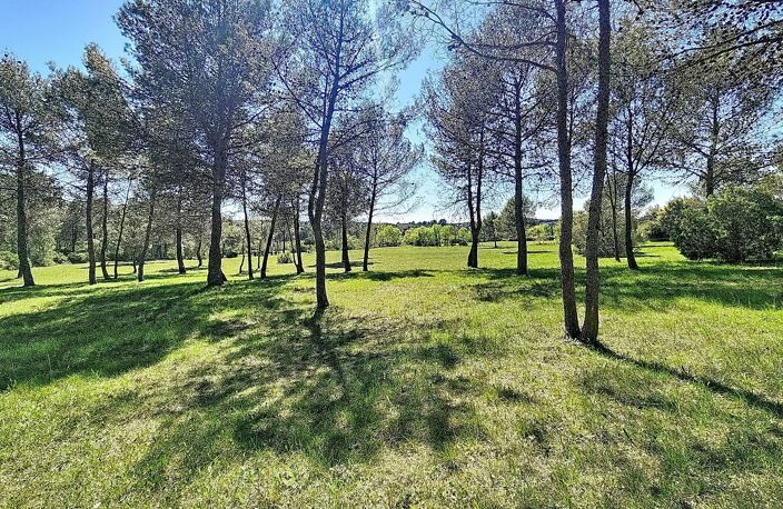 Mas de village — photo 3