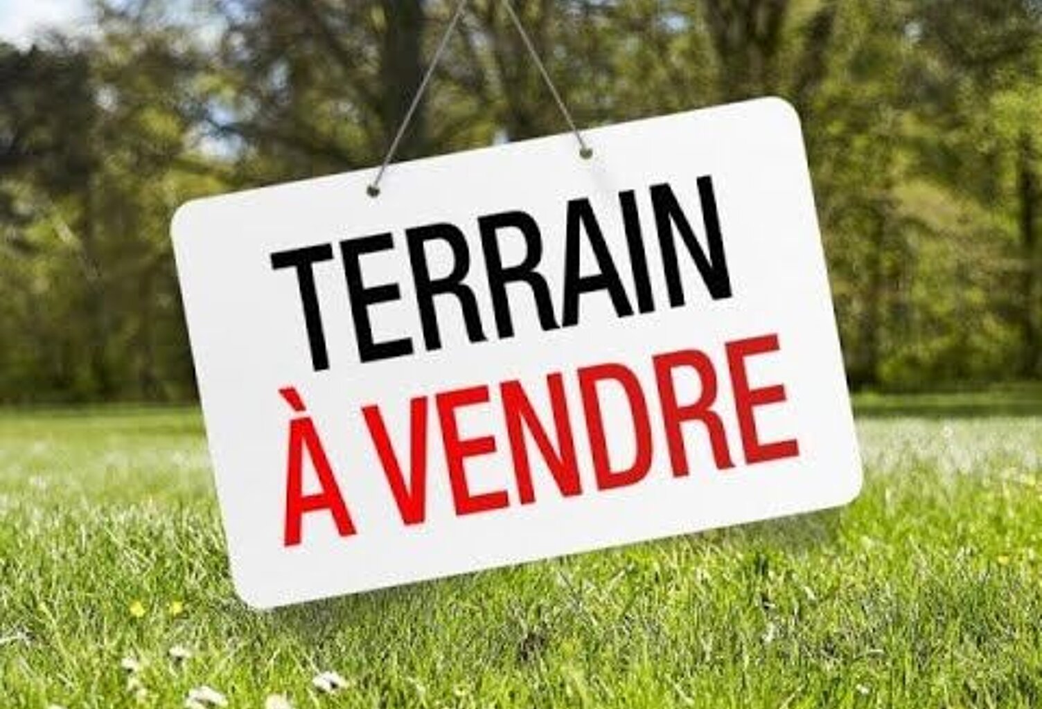 Terrain Constructible  — photo 1