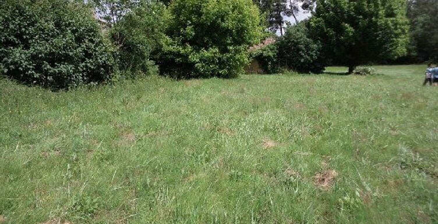 Terrain construction — photo 1