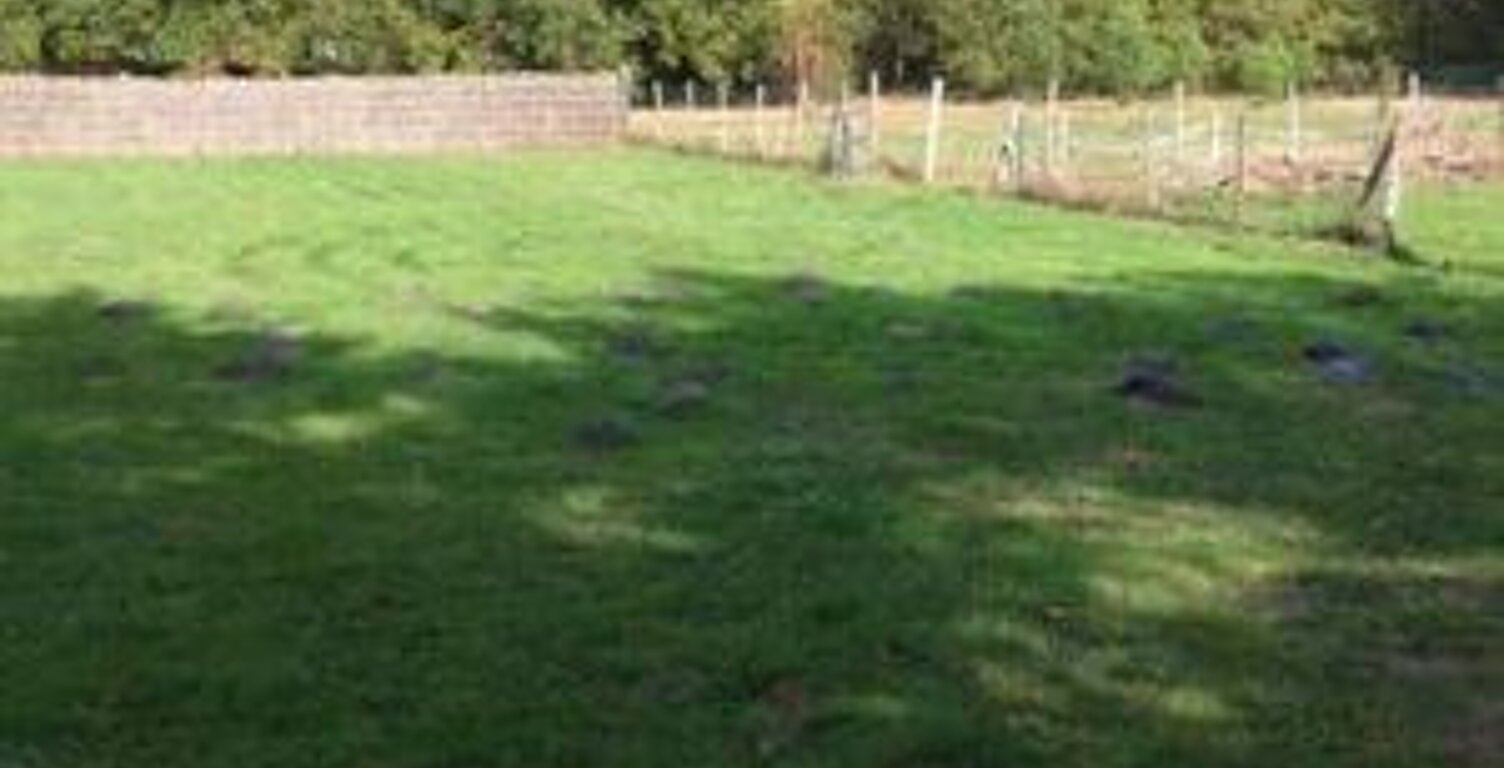 Vente terrain  1500 m² Pineuilh (33220) — photo 1