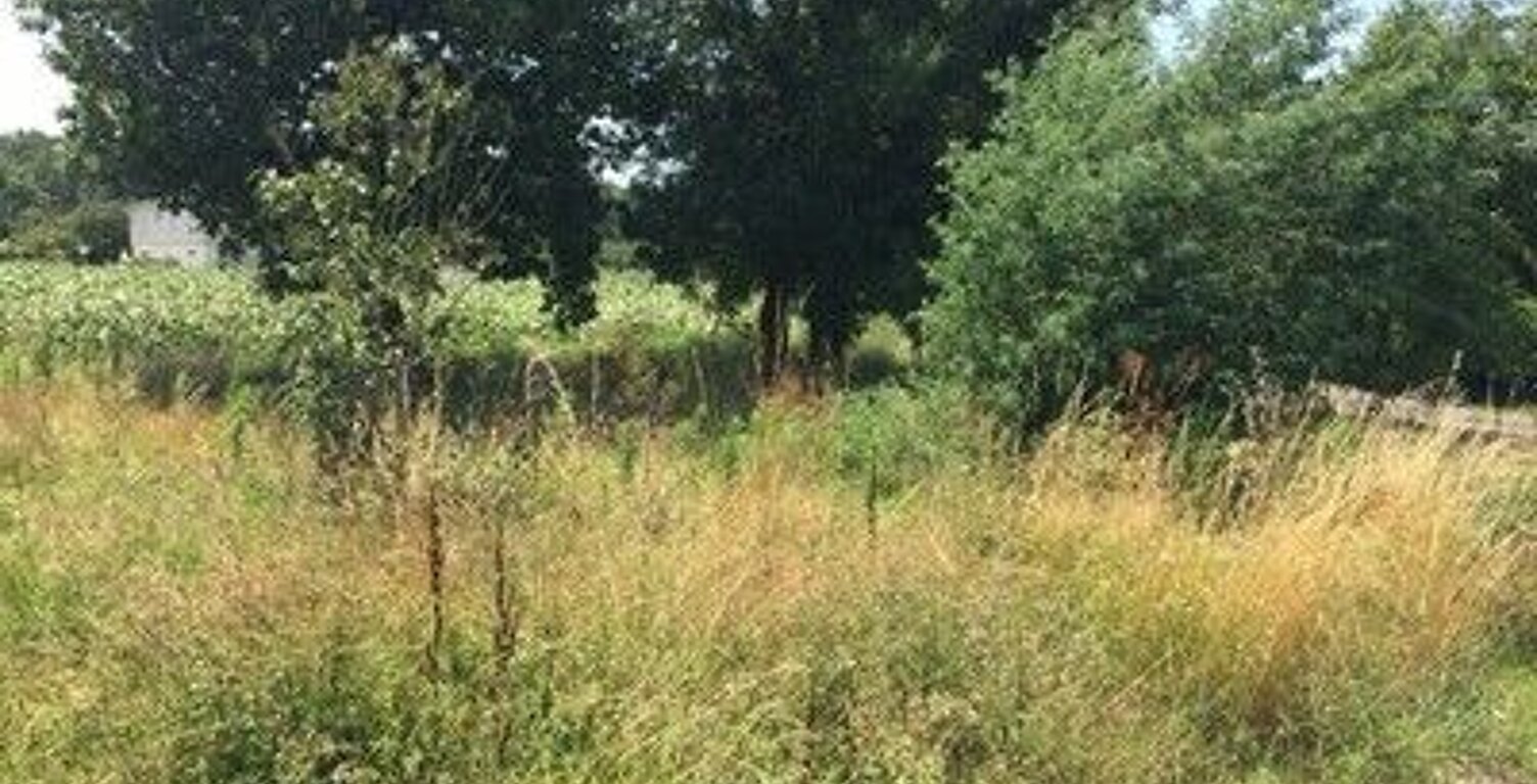 Terrain à construire Urgent  — photo 1