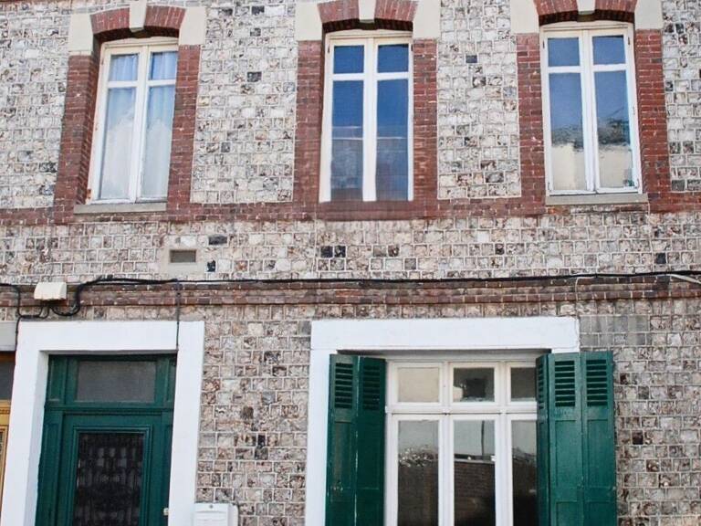 FECAMP : MAISON BRIQUES ET SILEX ENTRE LE CENTRE ET LA PLAGE — photo 1