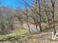Vente Terrain agricole 24 000 m&sup2; — photo 3