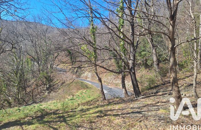 Vente Terrain agricole 24 000 m&sup2; — photo 3