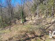 Vente Terrain agricole 24 000 m&sup2; — photo 4