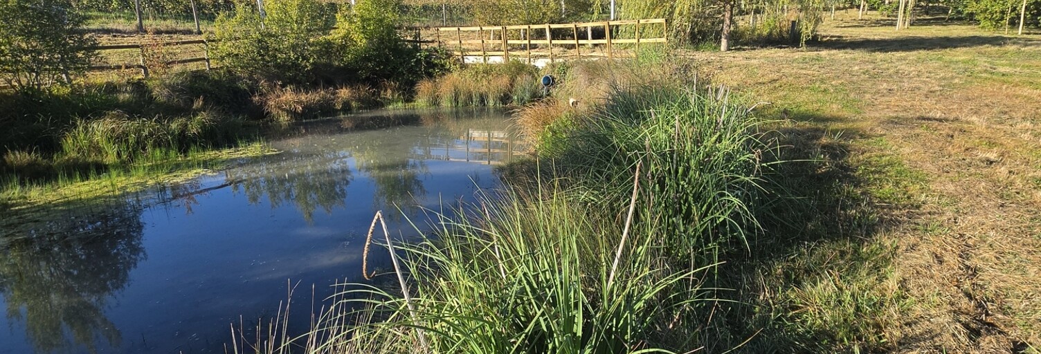 Terrain  4638 m² à vendre à Festigny (51700)