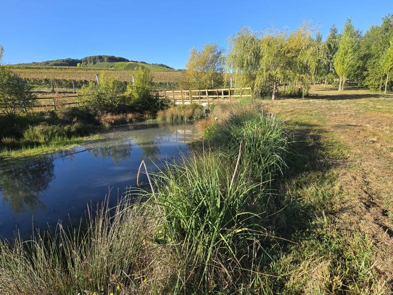 Vente Terrain 4 638 m&sup2; — photo 1