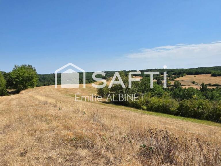 Domaine de 116 ha avec habitation et hangar — photo 1