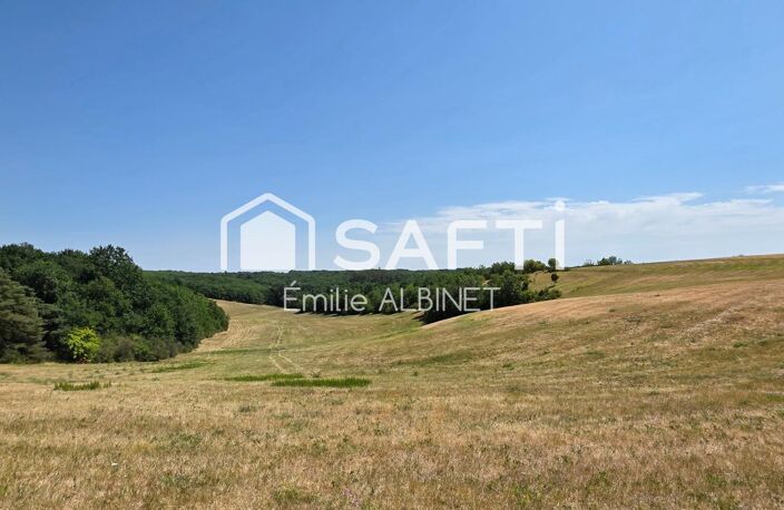 Domaine de 116 ha avec habitation et hangar — photo 3