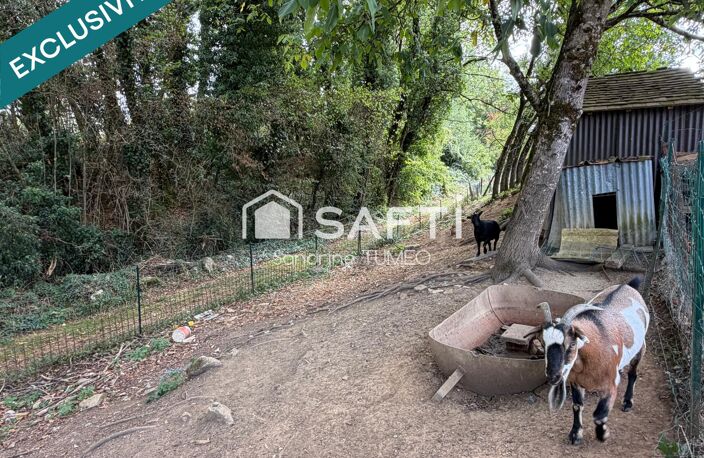 Maison en pierre, appartement et grand terrain au calme, à quelques minutes de Poligny. — photo 3