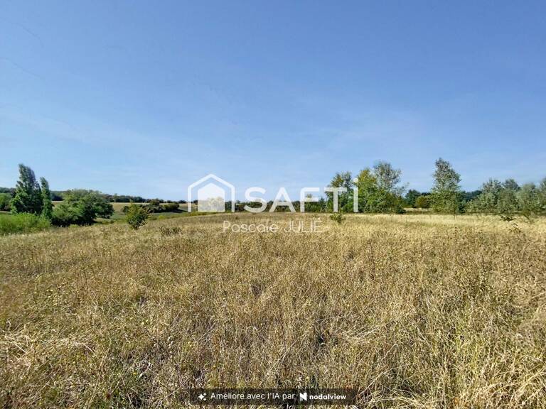Belle prairie proche de Toulouse — photo 1