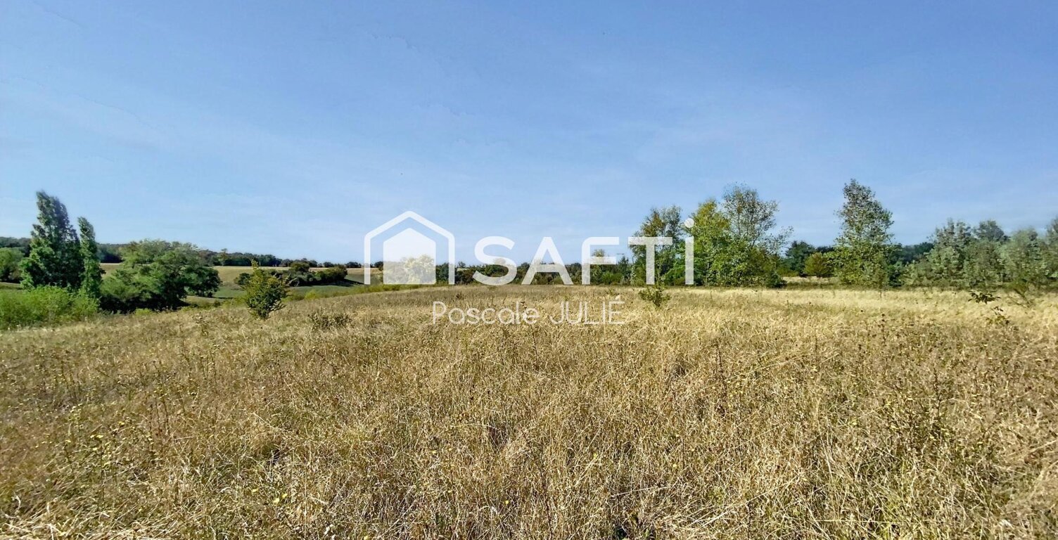 Belle prairie proche de Toulouse — photo 1