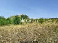 Belle prairie proche de Toulouse — photo 2