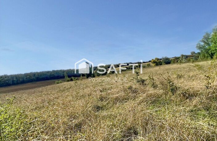 Belle prairie proche de Toulouse — photo 3
