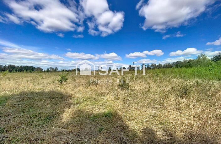 Belle prairie proche de Toulouse — photo 5