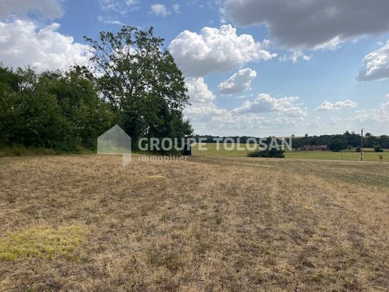 Terrain — photo 1