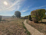Maison Bologne — photo 3