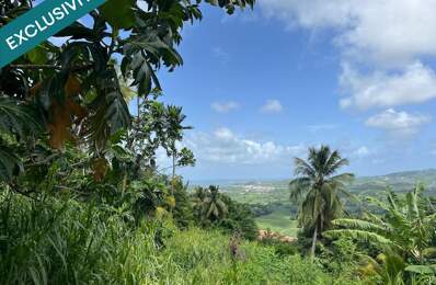 Terrain à bâtir 553 m² - Le François, Bois-Neuf - Vue dégagée — photo du bien