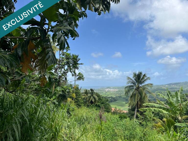 Terrain à bâtir 553 m² - Le François, Bois-Neuf - Vue dégagée — photo 1