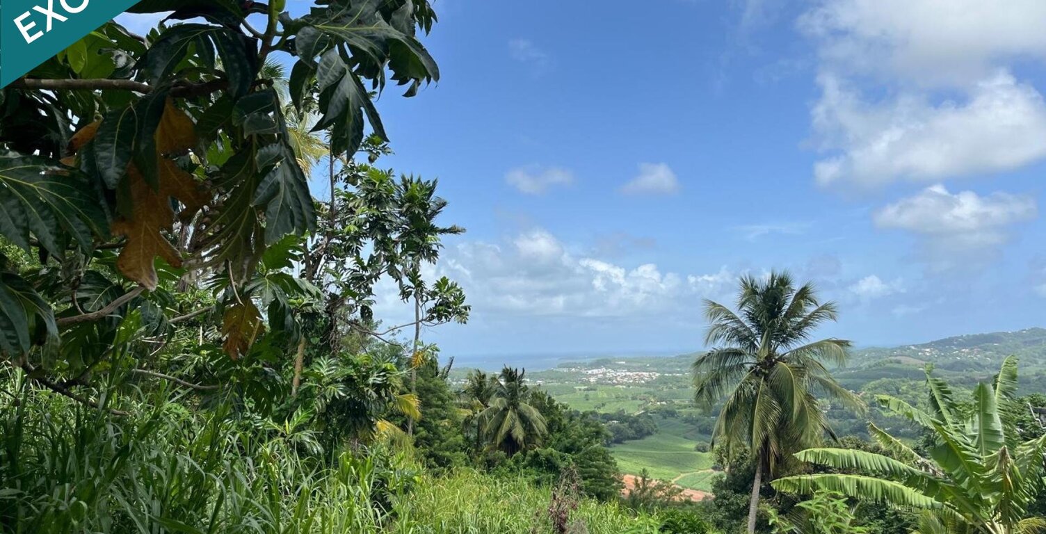 Terrain à bâtir 553 m² - Le François, Bois-Neuf - Vue dégagée — photo 1