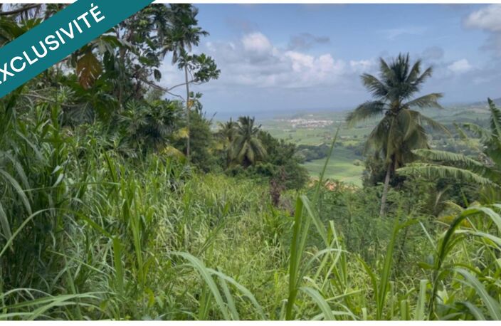 Terrain à bâtir 553 m² - Le François, Bois-Neuf - Vue dégagée — photo 3