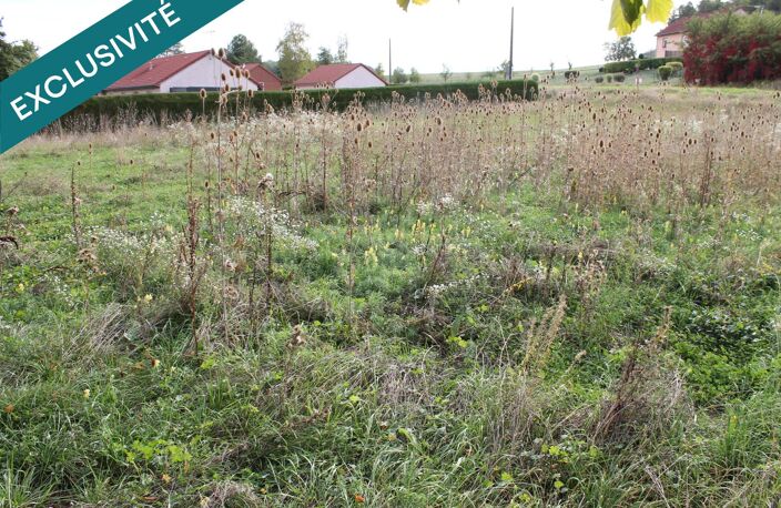terrain constructible  tres proche de neufchateau — photo 3