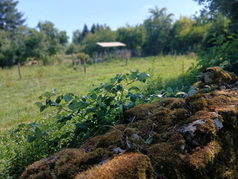 Terrain agricole au calme 400m² — photo 1