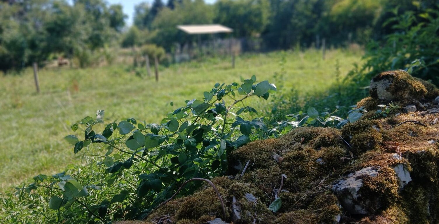 Terrain agricole au calme 400m² — photo 1