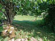 Terrain agricole au calme 400m² — photo 4