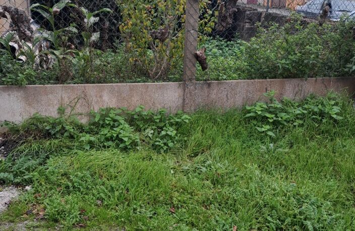 Vente Garage 260 m&sup2; — photo 4