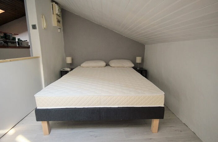 MINIMES CLAUDE NOUGARO - CHARMANT T1 ESPRIT LOFT — photo 5