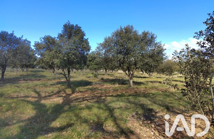 Vente Truffière 6 200 m&sup2; — photo 2