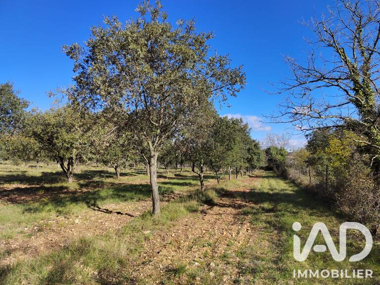 Vente Truffière 6 000 m&sup2; — photo 1