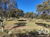 Vente Truffière 6 000 m&sup2; — photo 3